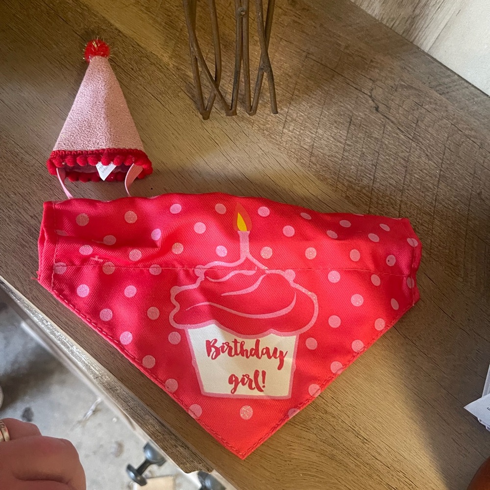 Birthday girl bandana and party hat for small to XS dog